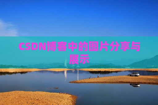CSDN博客中的图片分享与展示